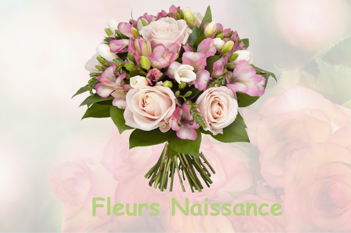 fleurs naissance BONDAROY