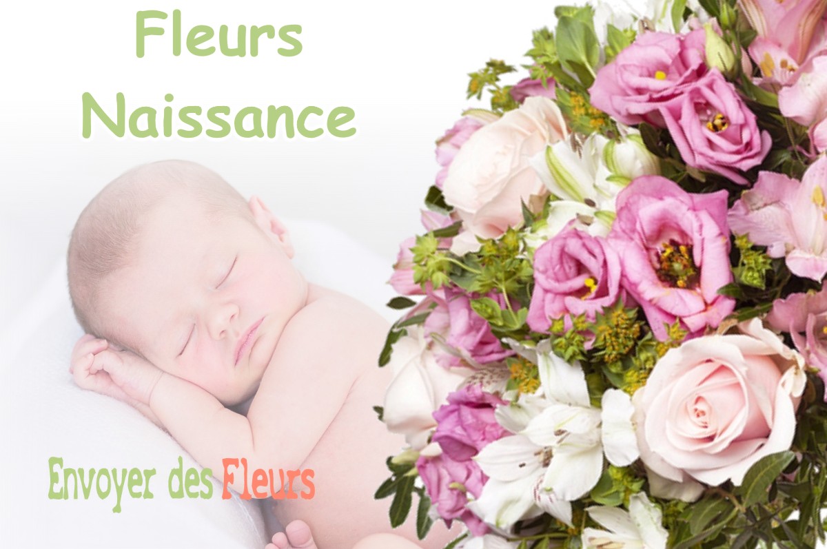 lIVRAISON FLEURS NAISSANCE à BONDAROY